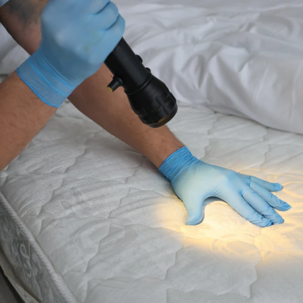 Inspection des coutures d'un matelas à la lampe torche